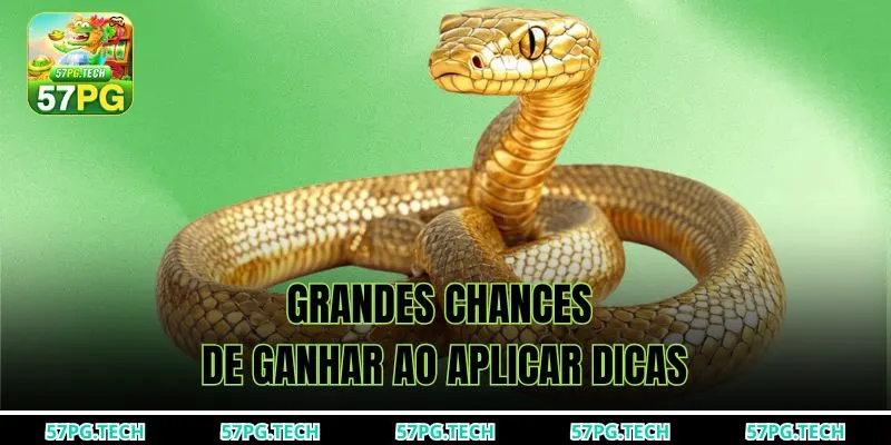 Grandes chances de ganhar ao aplicar dicas