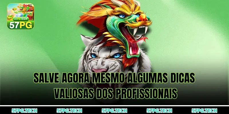 Salve agora mesmo algumas dicas valiosas dos profissionais!